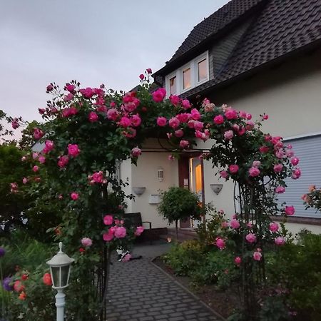 Willy Und Gudrun Appartement Rheda-Wiedenbrück Buitenkant foto