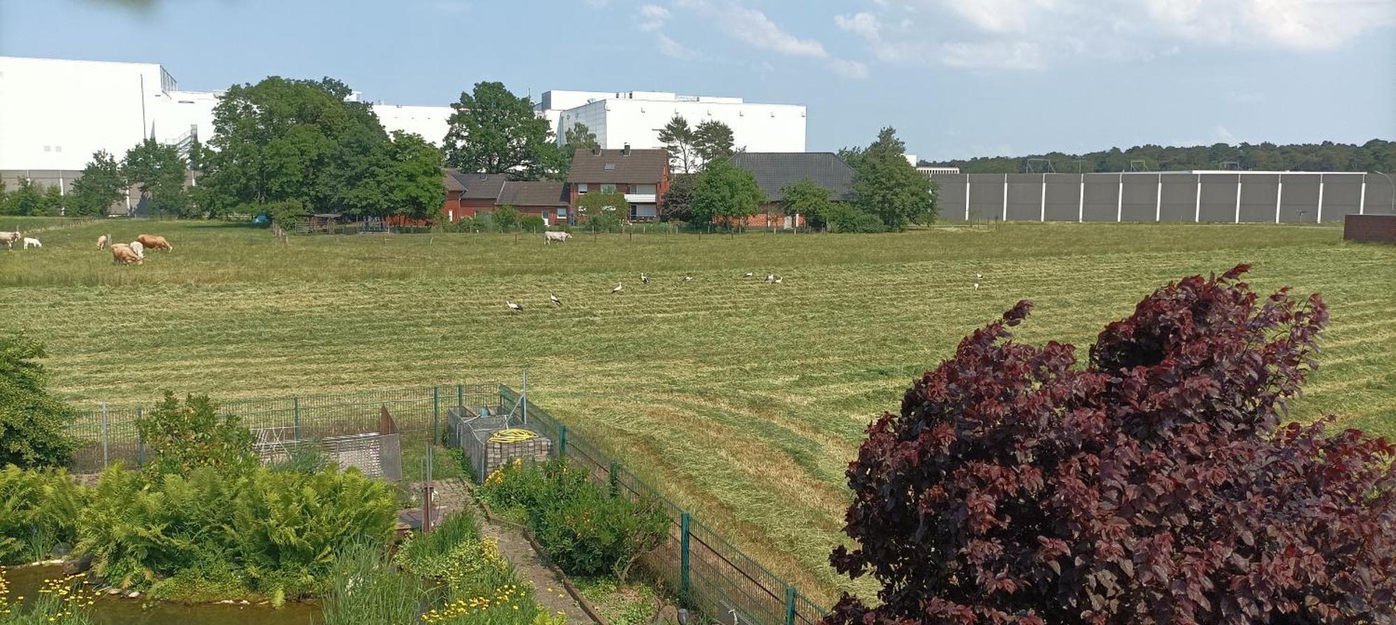 Willy Und Gudrun Appartement Rheda-Wiedenbrück Buitenkant foto
